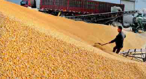 2072a7139192801fbba06636bc81be31.jpg 2072a7139192801fbba06636bc81be31.jpg